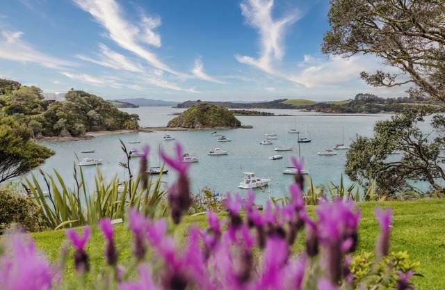 Prime Waterfront Studio in Opito Bay - nOne of the Bay's Best Spots