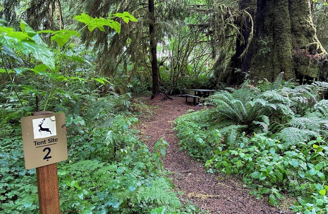 Tent Site Forks 