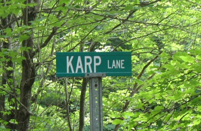 Private and Cozy Cottage, Excellent Fishing And Swimming; Sleeps 6.