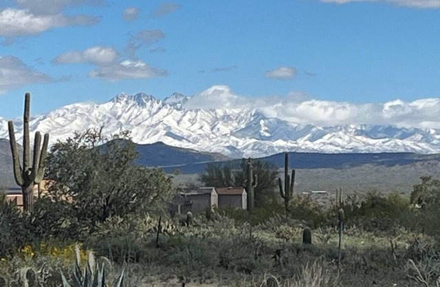 Private home fully furnished, Fountain Hills walking distance to town & fountain