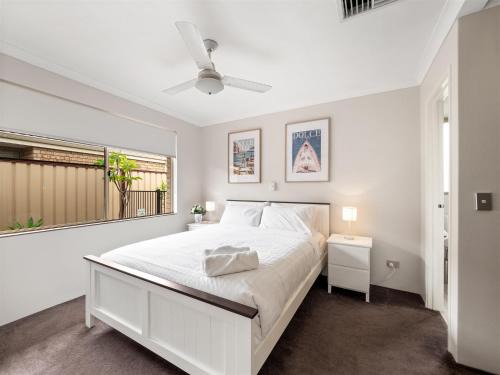 Private Jetty Dolphins Family Pets-canal Life