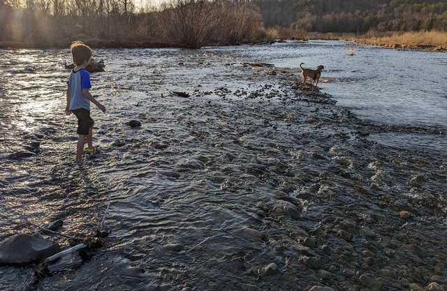 Private tent camping along the Salmon River on 165-acre Farm.