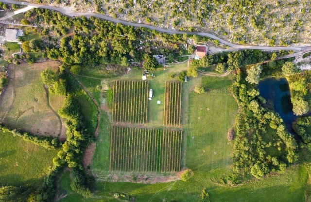 Purple Eye Estate - Camp & Winery (Jokaš)