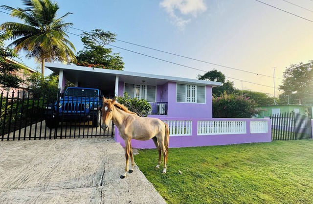 Purple Sunset - Walk to Malecon & Beaches