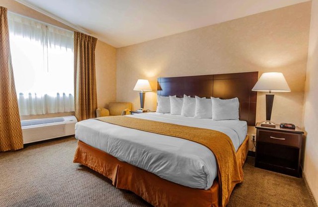 Quality Inn Arlington