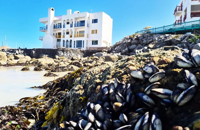 Raaswater Langebaan Self Catering