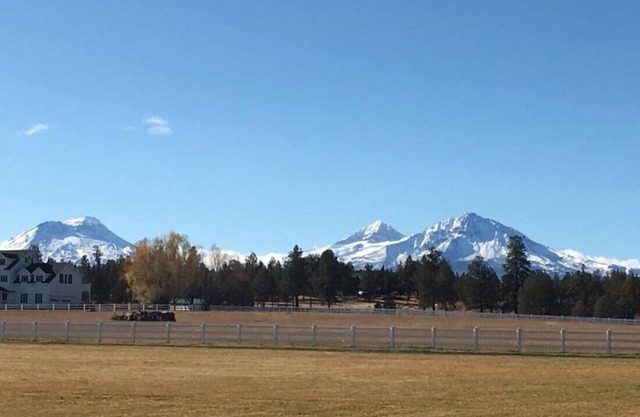 Rags to Rescues animal sanctuary