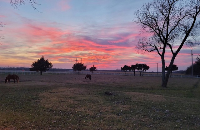 Ranch at Lake Ray Roberts - 10 Acres walk to lake 4 Bed 2 Bath