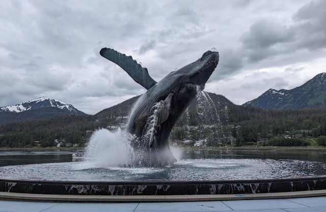Ranger's Manor, a Peaceful Haven near the Glacier