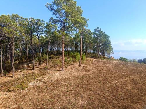 Ravissant T2 vue mer et massif - Les Clés de L´Estérel