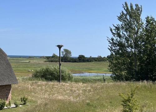 Reetdorf Geltinger Birk Atelierhaus Morsezeichen