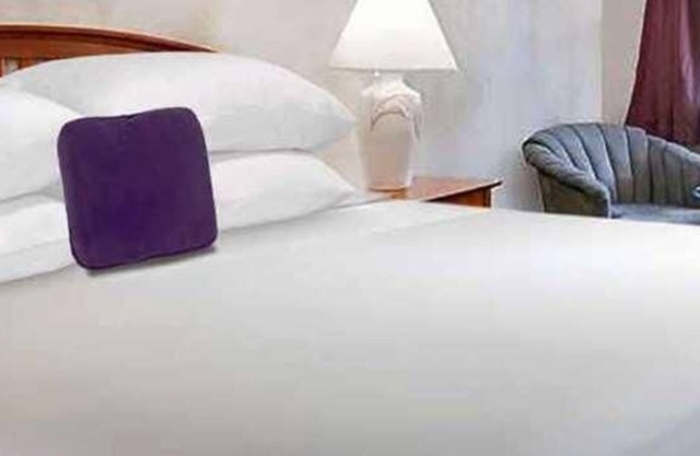 Relax and Unwind! Pets Allowed, Free Breakfast and Parking, Near Lincoln Hall!