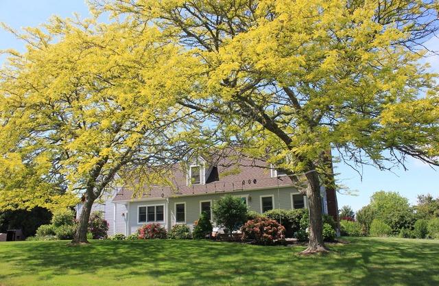 Relaxing Beach House Getaway