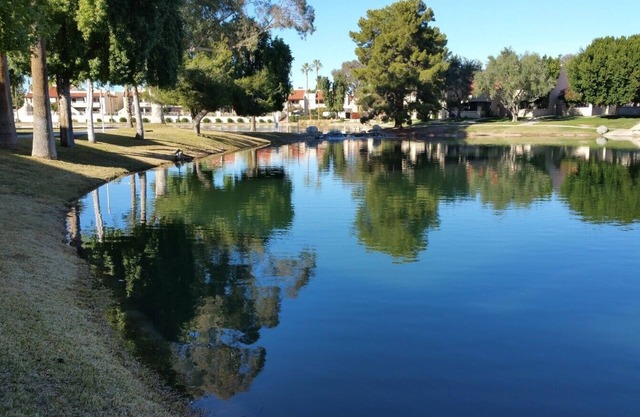 Relaxing Waterfront Oasis - Travel, Business, Travel Nurses, Sports, Medical