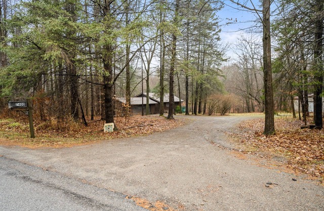 Remote cabin in the woods