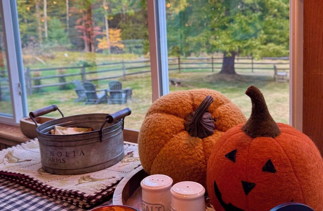 Renovated farmhouse with fully fenced yard, pets friendly/hot tub/mountain view.