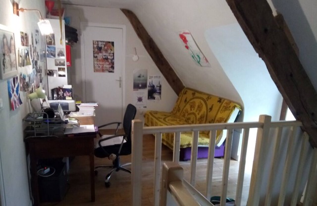 Renovated thatched cottage in Brière