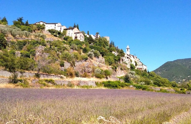 Rental in Provence at the foot of the Ventoux