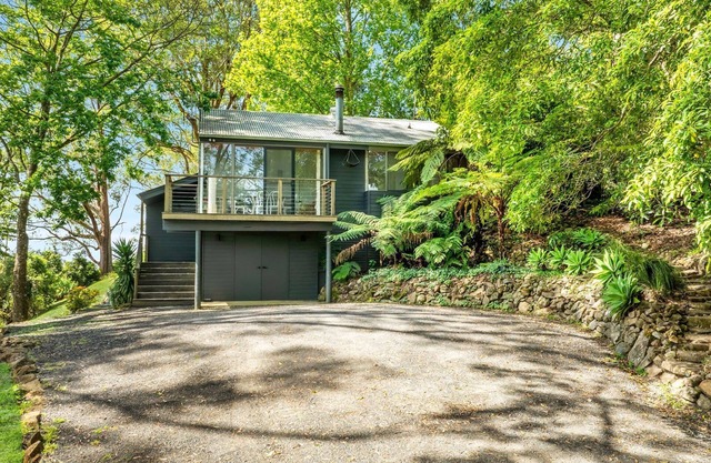 Ribbonwood, Kangaroo Valley