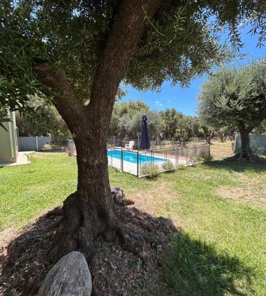 "Rincón de Olivos" Alojamiento entero en complejo con piscina