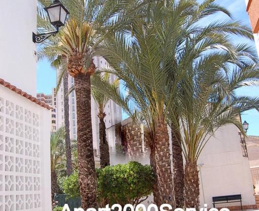 Rinconada Real Bungalows- Ap2000