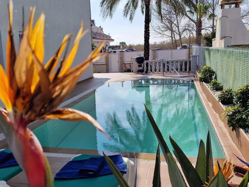 Riumar "La Pinya", 500m to beach, Privat-Pool, On-Site-Service, dog beach