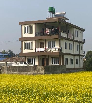 River Tiger Safari & Homestay