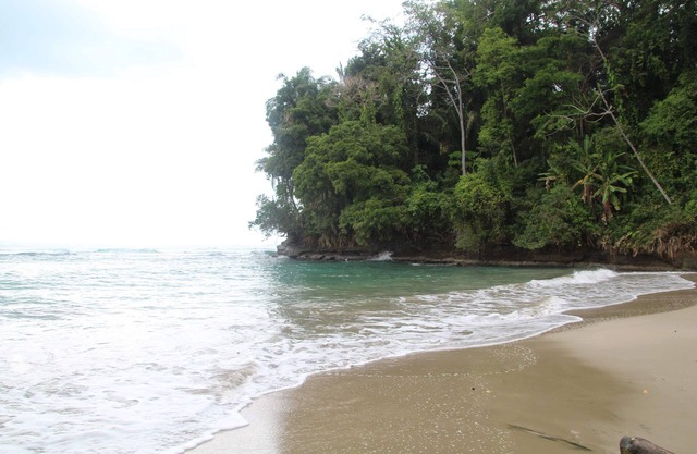 Romantic Ocean View Jacuzzi Suite Nature Lovers Paradise