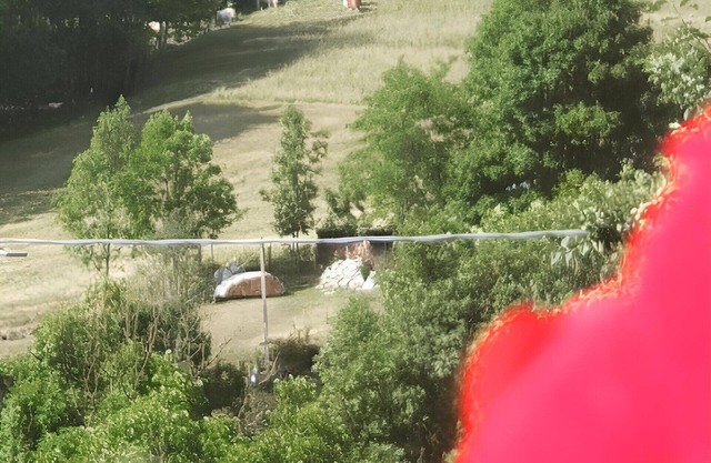 Room "Flora" in B&B Antica Casa Occitana