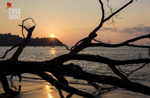 Room-private Honeymoon Bungalow