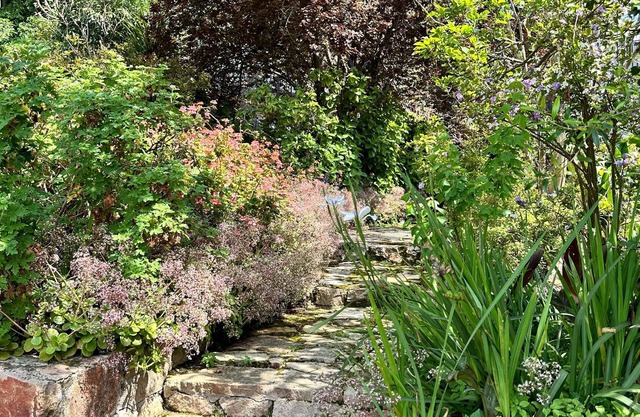 Rose Cottage, Elgin Grabouw