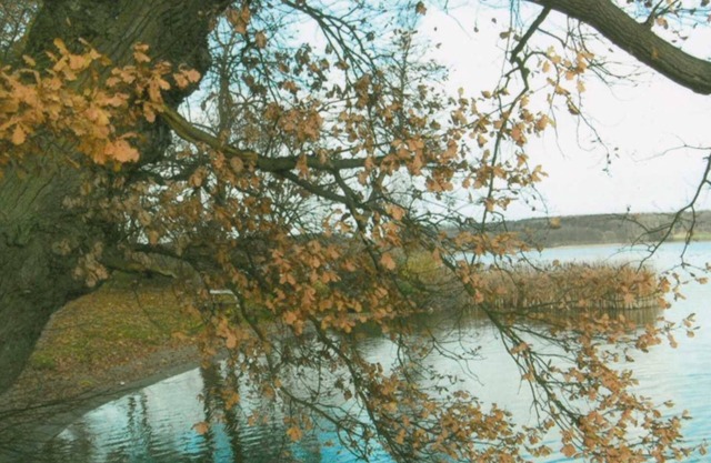 Rosi's Apartment on the Lieps