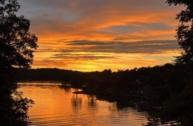 Roxy Park: Private, Wifi, 2 kayaks, quiet cove, open floorplan, gas grill