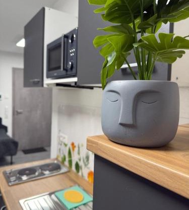 Ruhige Apartments an der Donau - Schwaben Living