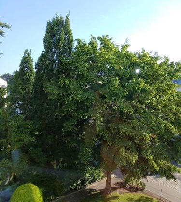 Ruhiges Appartment am Stadtpark