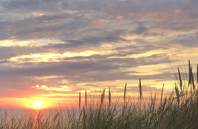 Ruime Vakantiewoning Voor Meerdere Gezinnen Direct aan zee