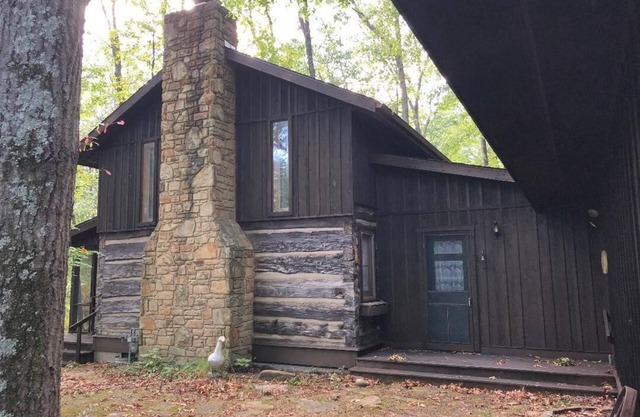Rustic but comfortable private cabin in the woods