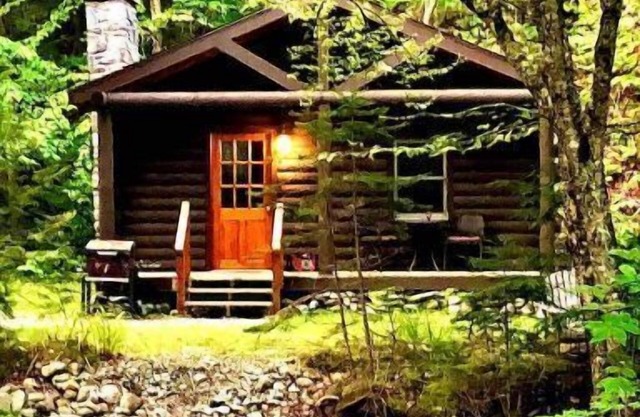 Rustic Log Cabin #6 - "Fireside"