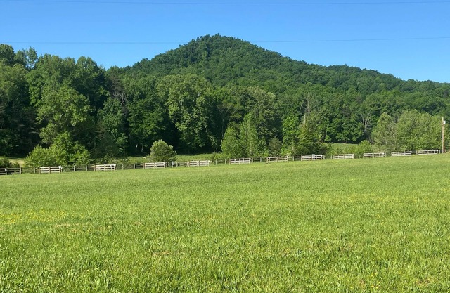 RV Campground at The Holler #7