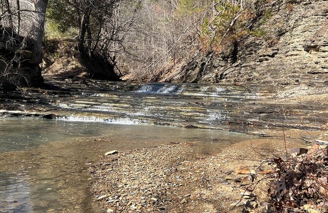 RV Campground at The Holler #10