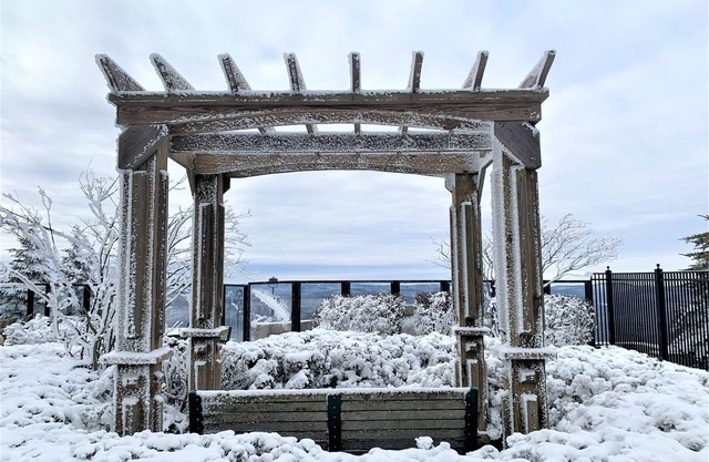 Seneca Snowshoe 