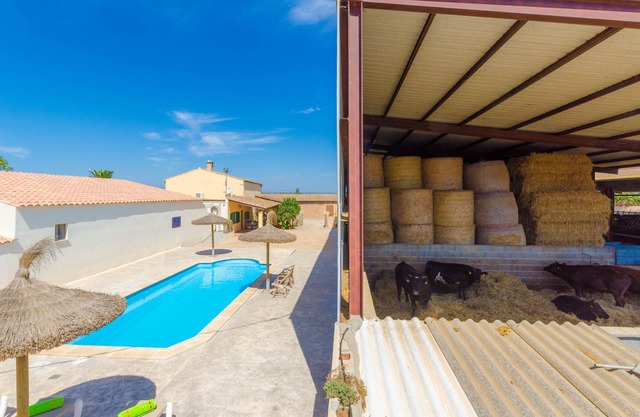 SA CASETA DE SES VAQUES.SON COVAS (SA VAQUERIA 2) - Chalet with shared pool in CAMPOS. Fre