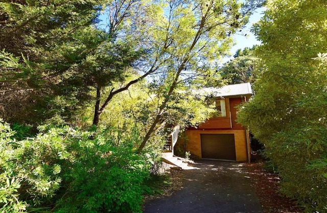 Santosha Glade near the Everglades