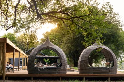 Sashwa River of Stars Plant-Based Wellness Safari Lodge