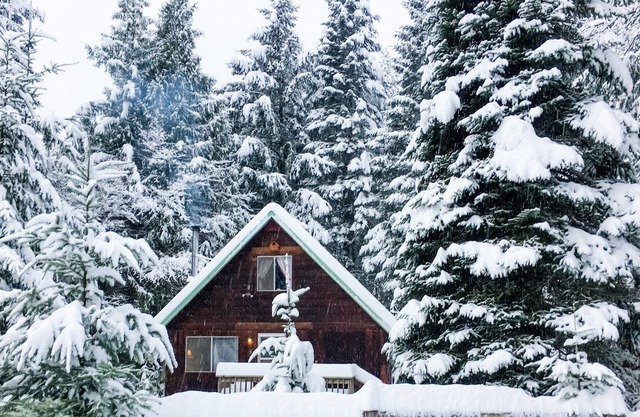 Sasquatch Cabins: Sasquatch