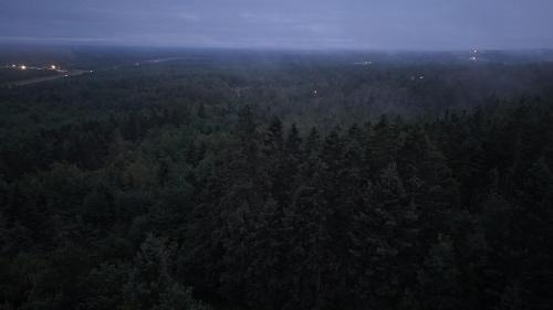 Scenic Motel Moncton