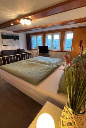 Schwarzwaldhus Tannenblick