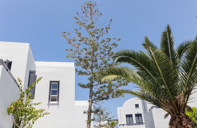 Scorpios Beach Santorini