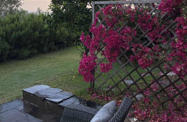 Sea view cottage among olive trees