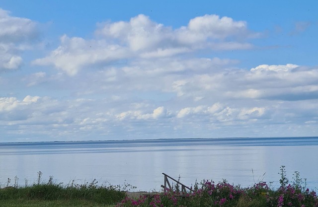 Sea views for life lovers